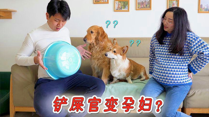 孕妇梦见两只狗，寓意与解析的温馨之旅