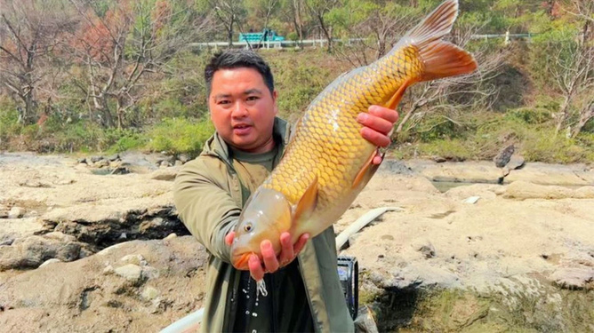 梦境的涟漪，解析梦见鲤鱼鲫鱼上水在捉鱼的深层意义