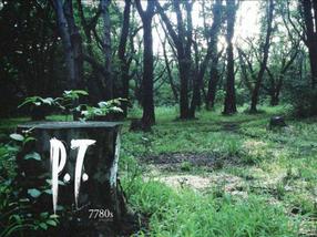 有玩家在未经修改的PS5上玩到了《P.T.》