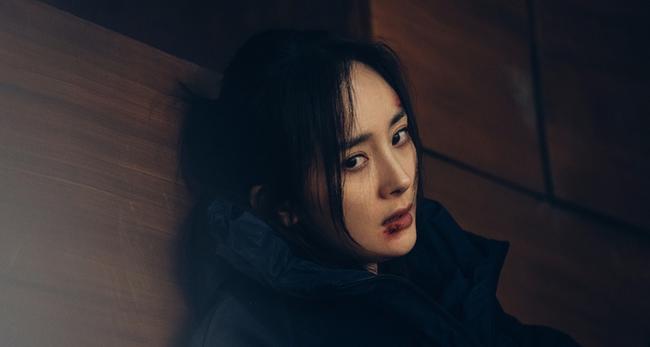 《刺杀小说家》杨幂特辑 拍得最狠的动作戏