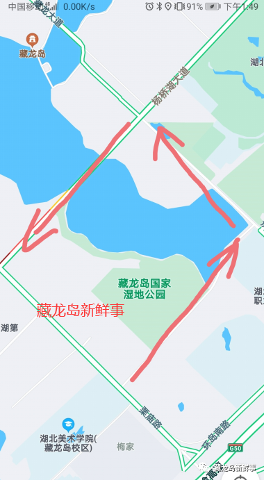 春秋旅游高峰西湖景区交通管制，单向行驶路线及花期攻略