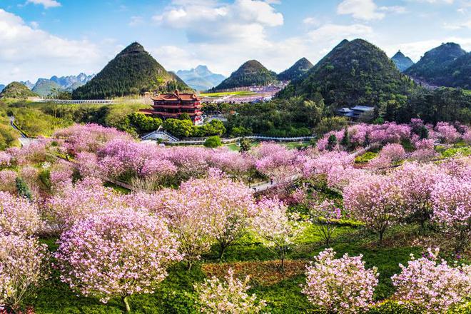 初夏，遇见大美酒仙湖！5 月 19 日当天散客入园套票优惠，还有机会免收入园门票