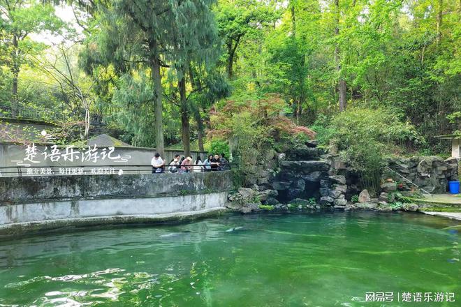 西湖旅游攻略：十大景点与山林美景等你来探索