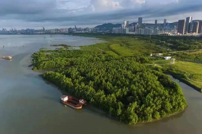 上海：繁华与安静交织，硬件文明与人文感觉并存