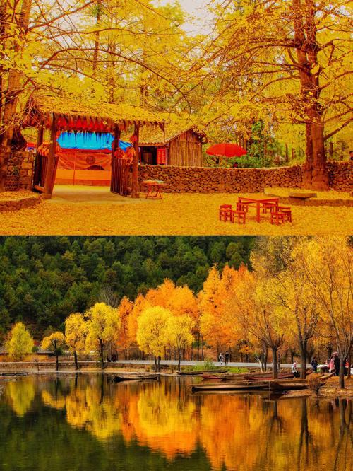 云南旅游攻略：6 条路线任你选，石林、玉龙雪山、丽江古城等景点等你来