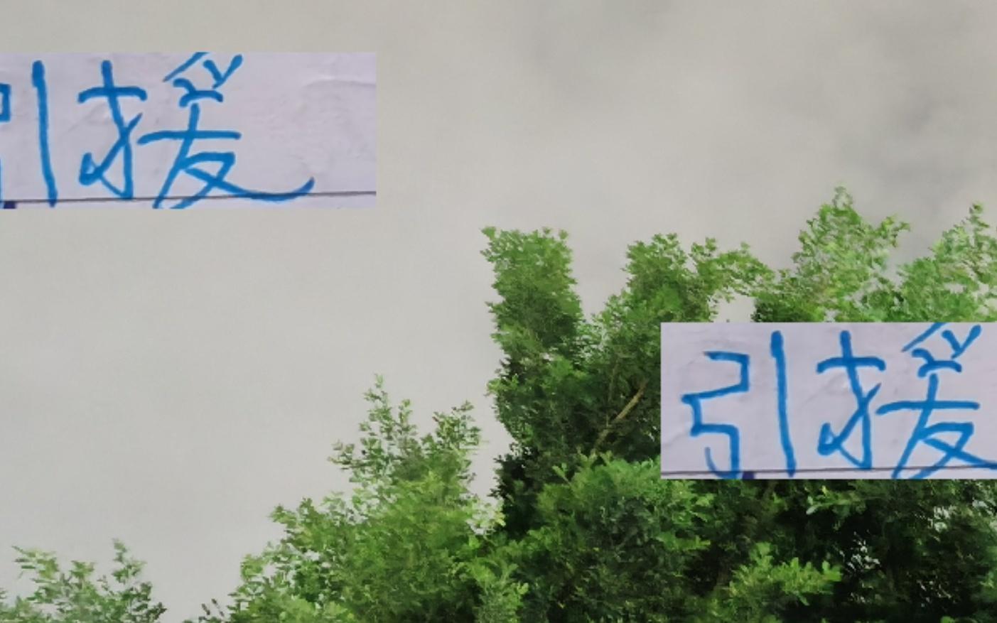 没有神奇替补！申花要想跟海港夺冠 还要精准引援！