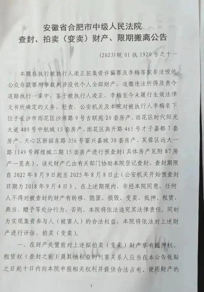 合肥女子李梅在长沙坐拥87套房,因涉罪被查封,正式被法院挂网待拍卖