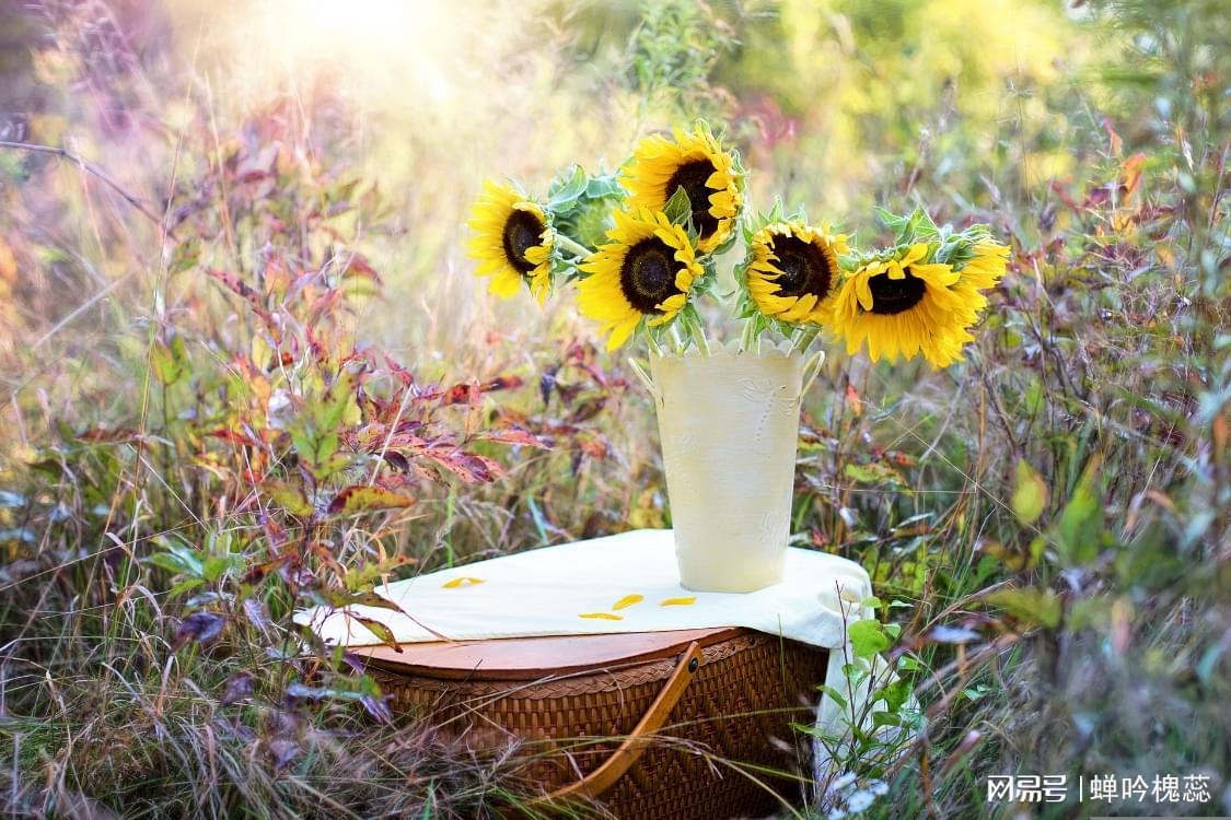 我75岁，搭伙15年感悟：晚年找伴，理解尊重比伺候更重要