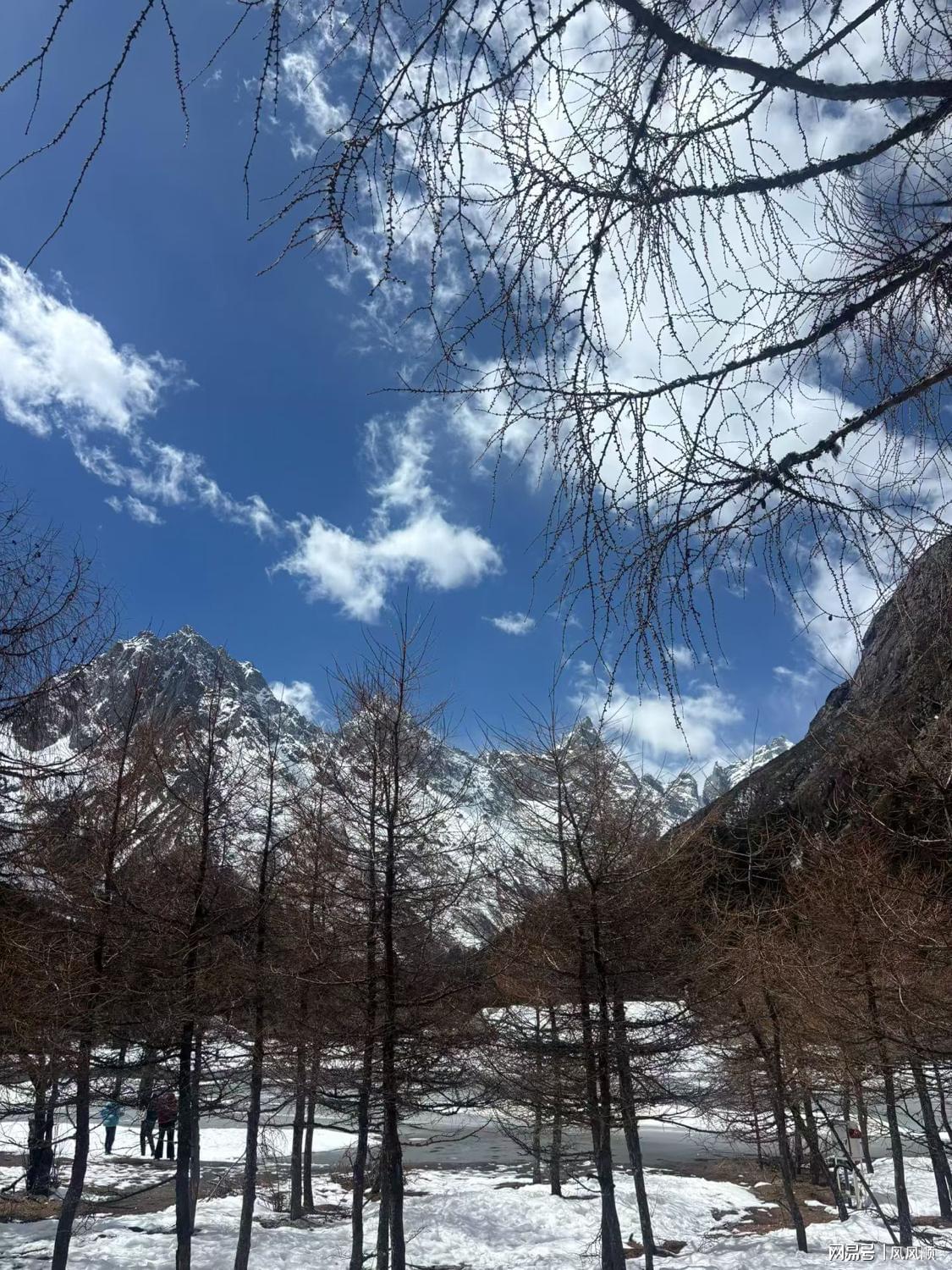 AI算力催生材料革命：中材科技如何突破特种纤维布国际垄断？