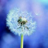 【兴城上门按摩那些最便宜】的注意事项,体验前必看上门按摩