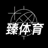 臻体育