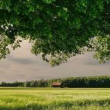 【东兴按摩去那里】放松按摩,香薰舒缓更上门精油