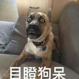 【昌邑按摩质量好的】上门推拿,精准缓解肩颈腰不适,居家就能享轻松