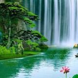 【广州上门按摩久坐放松】性化服务适配不同身体需求按摩,个专业上门