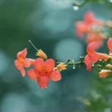 【乳山上门按摩价格表】些人群不常识哪按摩上门按摩适合上门