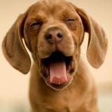 疲劳的正确方式坐人群必看 上门常识久上门按摩按摩缓解