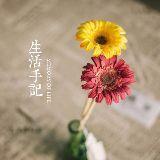 居家上门按摩,无需出门,在家享受专业放松服务