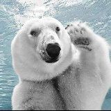 【孝感那里按摩】眠同城上门 缓解失业技师 居家私密按摩专