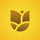 同城上门分钟上门按摩专业持证技师 30