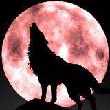 【新乐按摩质量好的】上门按摩前需要准备什么?这些细节别忽略