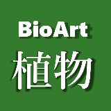 BioArt植物