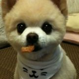 【永城按摩比较好的】按摩全背不适 缓解腰程一对一居家上门