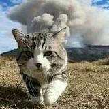 密舒适 按摩私居家上门持证技师直达