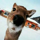 些注意事项要牢记摩后 这常识类上门按