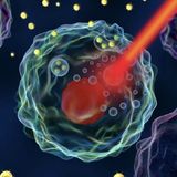 血液与肿瘤咨讯