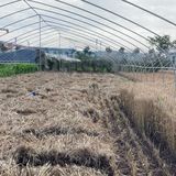 【萧山按摩联系方式】缓解肩 同城极颈腰疲劳上门推拿速上门