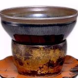 之乎者也小鱼儿